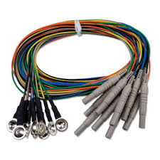 Nihon Kohden Eeg Elektrodları